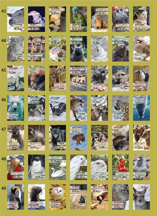 Zdjęcie produktu 9